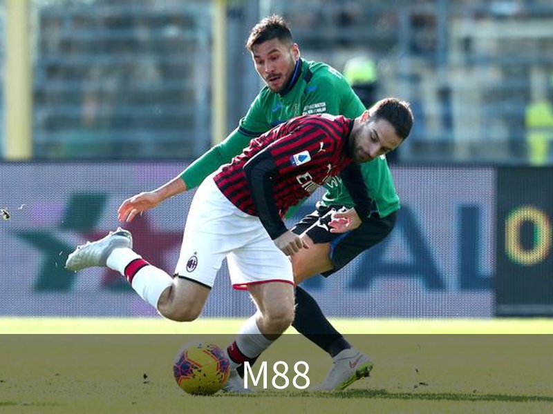 M88概况